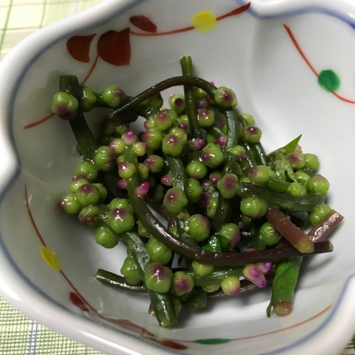 栄養たっぷりツルムラサキの花